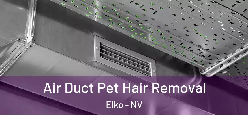  Air Duct Pet Hair Removal Elko - NV