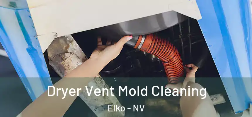  Dryer Vent Mold Cleaning Elko - NV