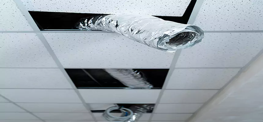 Affordable HVAC Sanitizing After Pest Removal in Elko