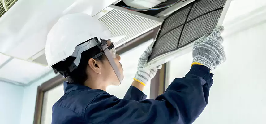 Our Mold & Mildew Removal from Air Ducts Services in Elko, NV