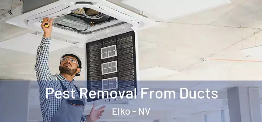  Pest Removal From Ducts Elko - NV