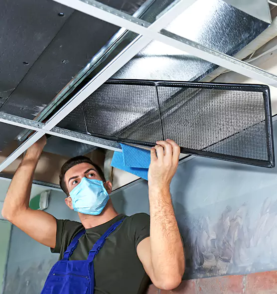 About Air Duct Bacteria Removal in Elko