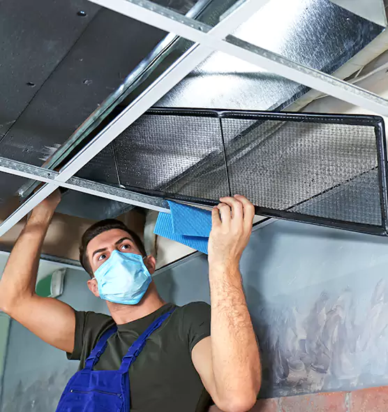 Professional Air Duct Pollen Cleaning in Elko, NV