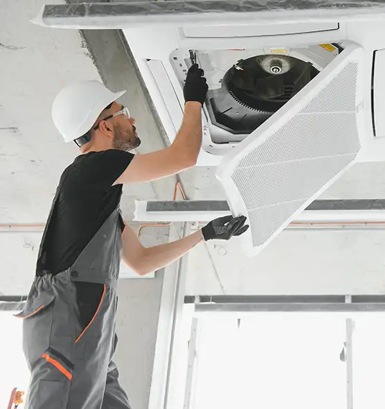 About Air Duct Rodent Removal in Elko, NV