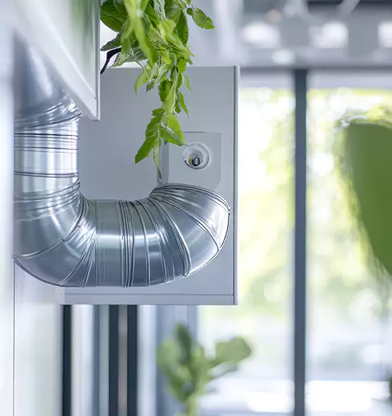 Professional Eco-Friendly Duct Cleaning Services in Elko, NV