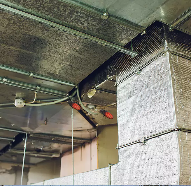 Why Homeowners & Businesses Trust Us in Elko, NV?