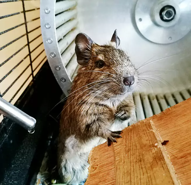 Why Homeowners & Businesses Trust Us Elko, NV?